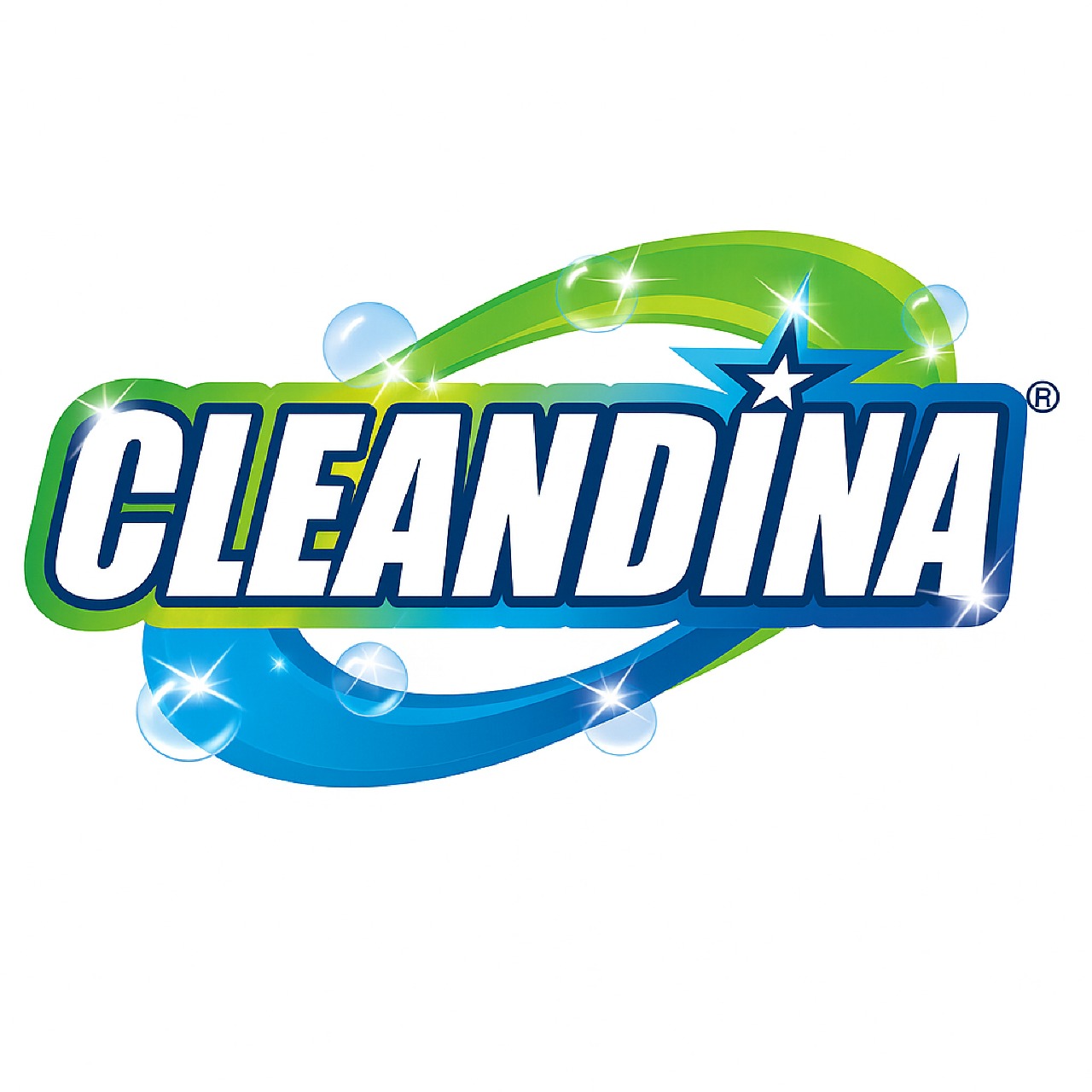 Logo CLEANDINA
